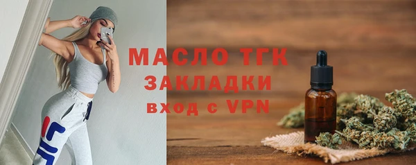 гидра Кодинск