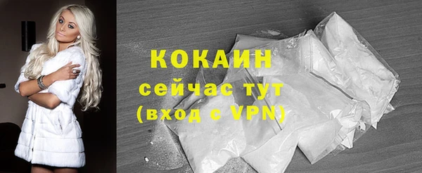 гидра Кодинск